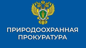 Порядок обращения граждан в органы прокуратуры.